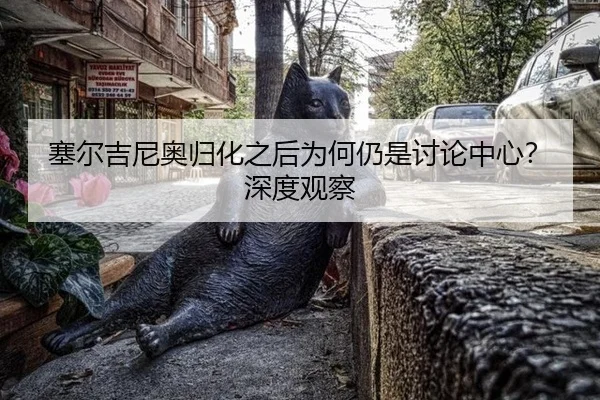 塞尔吉尼奥归化之后为何仍是讨论中心？深度观察